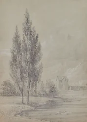 Paisaje con árboles cerca del lago