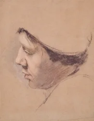 Perfil de un hombre