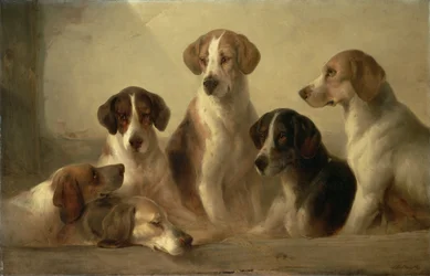Perros de caza