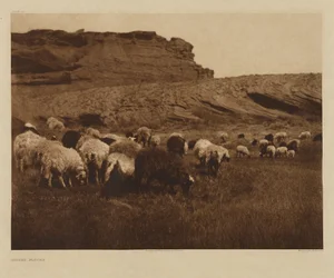 [Rebaños navajos]