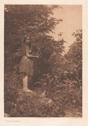 Portfolio IX, Plates 293- 328