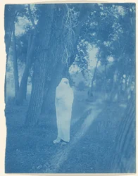 Esperando en el bosque - Cheyenne