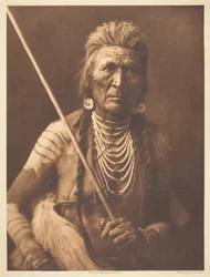 Lobo - Apsaroke