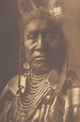 Muestra de peces - Apsaroke, 1908