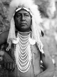 Upshaw, Apsaroke (Cuervo), c. 1905, foto Edward S. Curtis