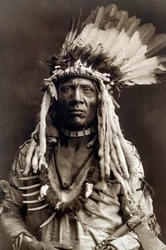 Cola de Comadreja (Apohsuyis). Retrato de jefe indio de la tribu piegan que lleva el famoso tocado de plumas de águila y de comadreja, una túnica de ante, dos collares, uno de hueso y otro de garras de oso pardo, y una pipa tomahawk.