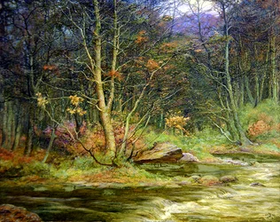 Un riachuelo del bosque (óleo sobre lienzo)