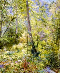 Luz solar moteada, bosque de Sheepscombe