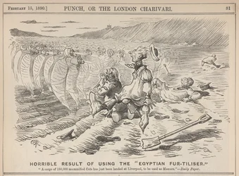 Horrible resultado del uso del "abono egipcio". "Un cargamento de 180.000 gatos momificados acaba de ser desembarcado en Liverpool, para ser utilizado como abono