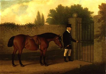 Un caballero guiando un Cob galés junto a una puerta de jardín