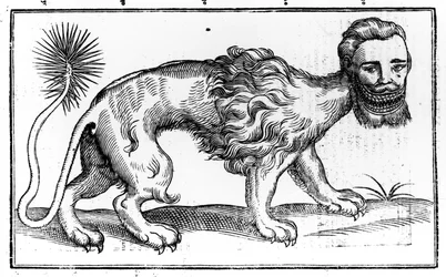 Manticora de 