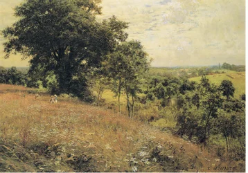 En el prado