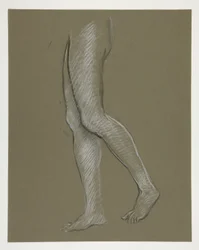 Estudio de figuras para