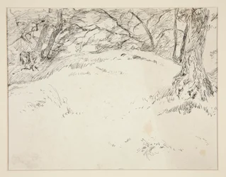 escena del bosque