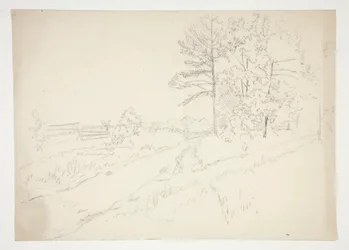 Paisaje con camino que atraviesa