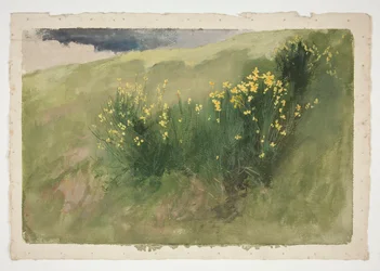 paisaje con flores silvestres