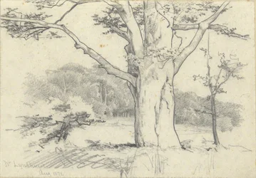 No. Lyndhurst, agosto de 1871