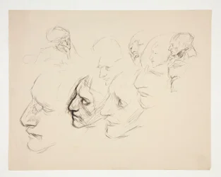 Ficha de estudios de un solo rostro