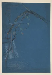 estudio de las ramas de los arboles