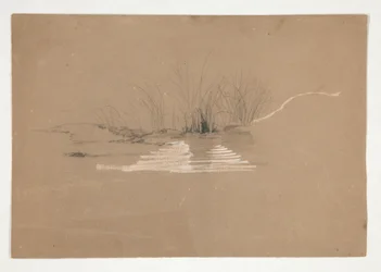 Árboles en la orilla del río (?)