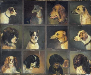 Doce Perros Favoritos, 1883