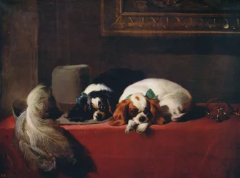 Spaniels del Rey Carlos, las mascotas de los Cavaliers, 1845