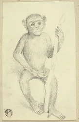 Orangután