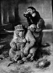 El mono enfermo, 1875, 1912