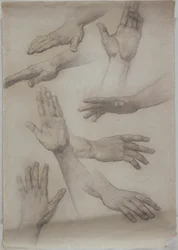 Estudios de Manos