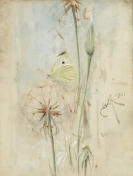 Mariposa y Cardo