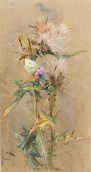 Cardos y mariposa