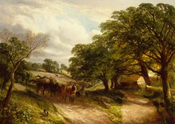 Transporte de madera