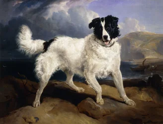 Retrato de Neptuno