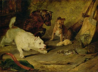 Cazarratas