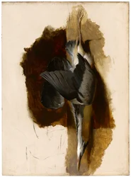 Estudio de una garza muerta, c.1832-33