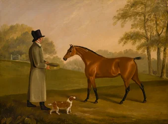 Un caballo en un paisaje con el novio, David, Bennet, c.1805 (óleo sobre lienzo)