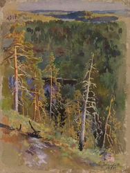 Paisaje forestal