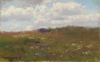 Prado con flores de verano