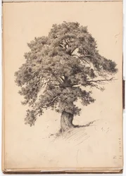 Pino, página del cuaderno de bocetos de Järnefelt
