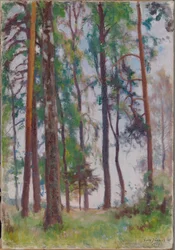 Pinos