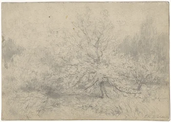 Paisaje con un árbol destacado en el centro