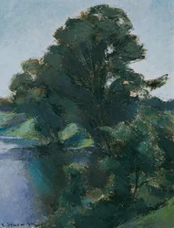árboles junto al agua