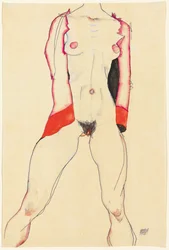 Torso femenino
