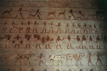 Necrópolis de Beni Hasan. Tumba de Amenemhat, detalle: pinturas murales que representan escenas de caza y vida campestre