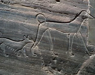 Pareja de perros, relieve de la entrada, Tumba de Sarenput II, Tumbas de los Príncipes, Qubbet el-Hawa, orilla oeste del Nilo en Asuán, Civilización egipcia, Reino Medio, Dinastía XII