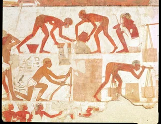 Construcción de un muro, de la tumba de Rekhmire, visir de Tutmosis III y Amenhotep II, Reino Nuevo (pintura mural) (véase 202228 para más detalles)