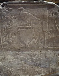 Detalle de la escena conmemorativa de la expedición a la Tierra de Punt, Columnata de Punt, templo mortuorio de la reina Hatshepsut, Deir el-Bahari, Necrópolis tebana (Lista del Patrimonio Mundial de la Unesco