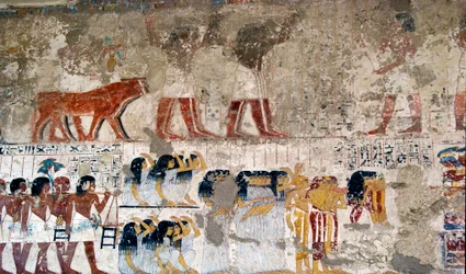 Antigüedad egipcia: portadores de ofrendas y llorones. Fresco de la Tumba del Visir Ramose (dinastía XVIII). Luxor, Ribera Oeste, Valle de los Nobles Egipto - Antiguo Egipto: portadores de ofrendas y llorones. Fresco de la Tumba del Visir Ramose (dinastía 