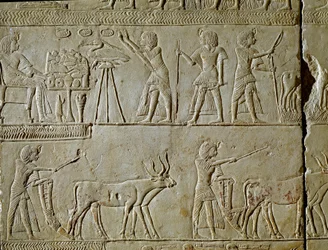 Antigüedad egipcia: escenas de trabajo en los campos y ofrendas al faraón. (detalle) de un relieve de la tumba de Horemhed (circa 1323-1293 a.C.) escriba real de Tutankamón. 1354-1326 a.C. Bolonia, Museo Arqueológico Cívico