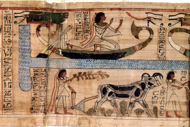 Antigüedad egipcia: el nombre del difunto Aner representado en el barco de Osiris, escena de arado y pesaje de almas (psicostasis). Papiro de un Libro de los Muertos, XX dinastía, de Tebas. Turín, museo egipcio